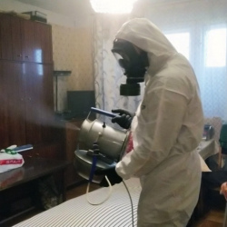 Дезинфекция от клопов в Заозерске